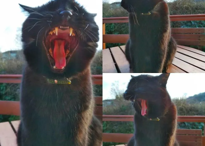 La Bachole Casa de hóspedes 3*
